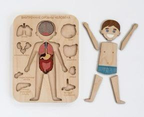 Puzzle De Lemn Educativ Corpul Omenesc